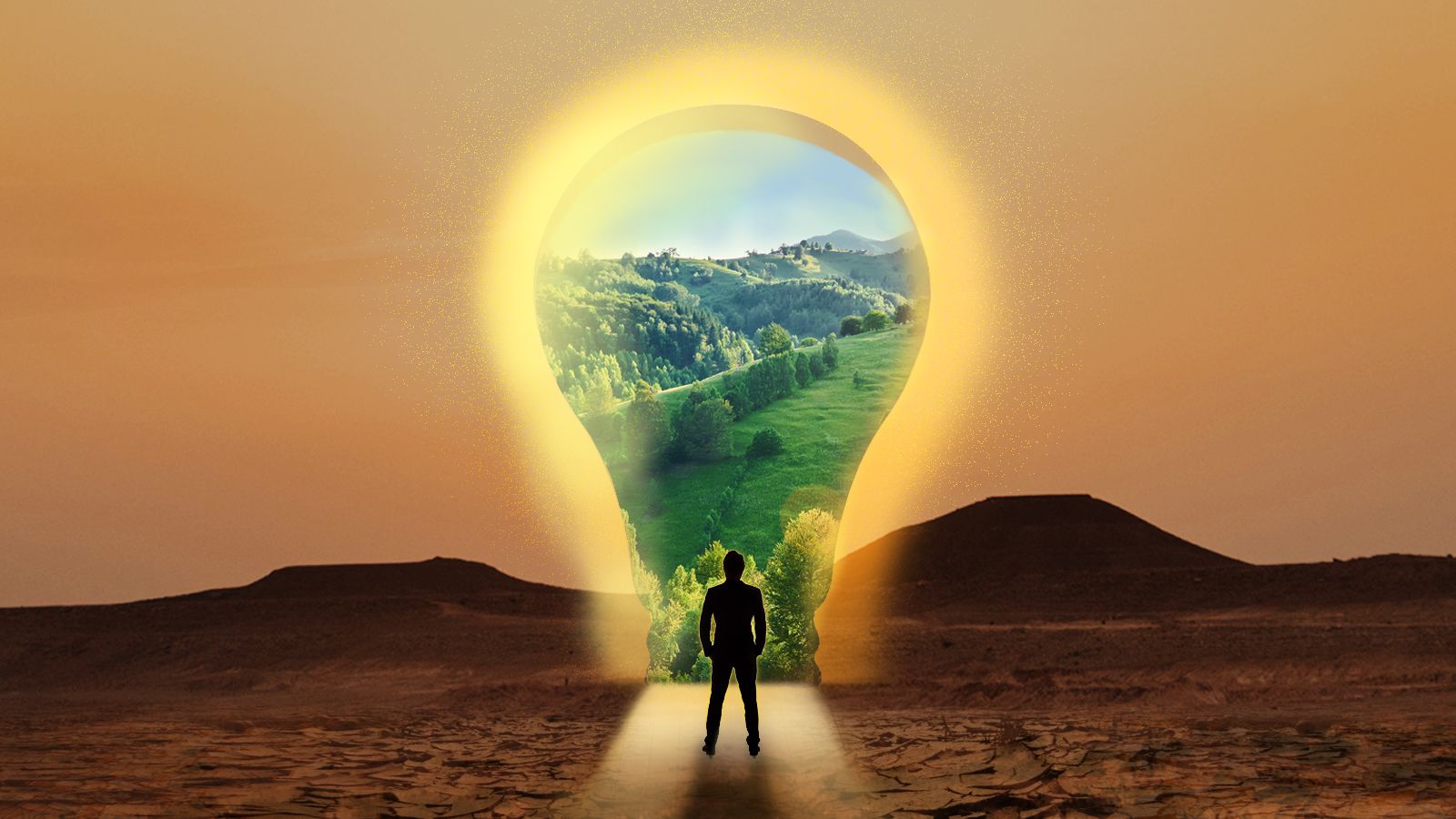 An abstract image, a person is looking at the light bulb and the light bulb symbolizes the culture of Innovation
