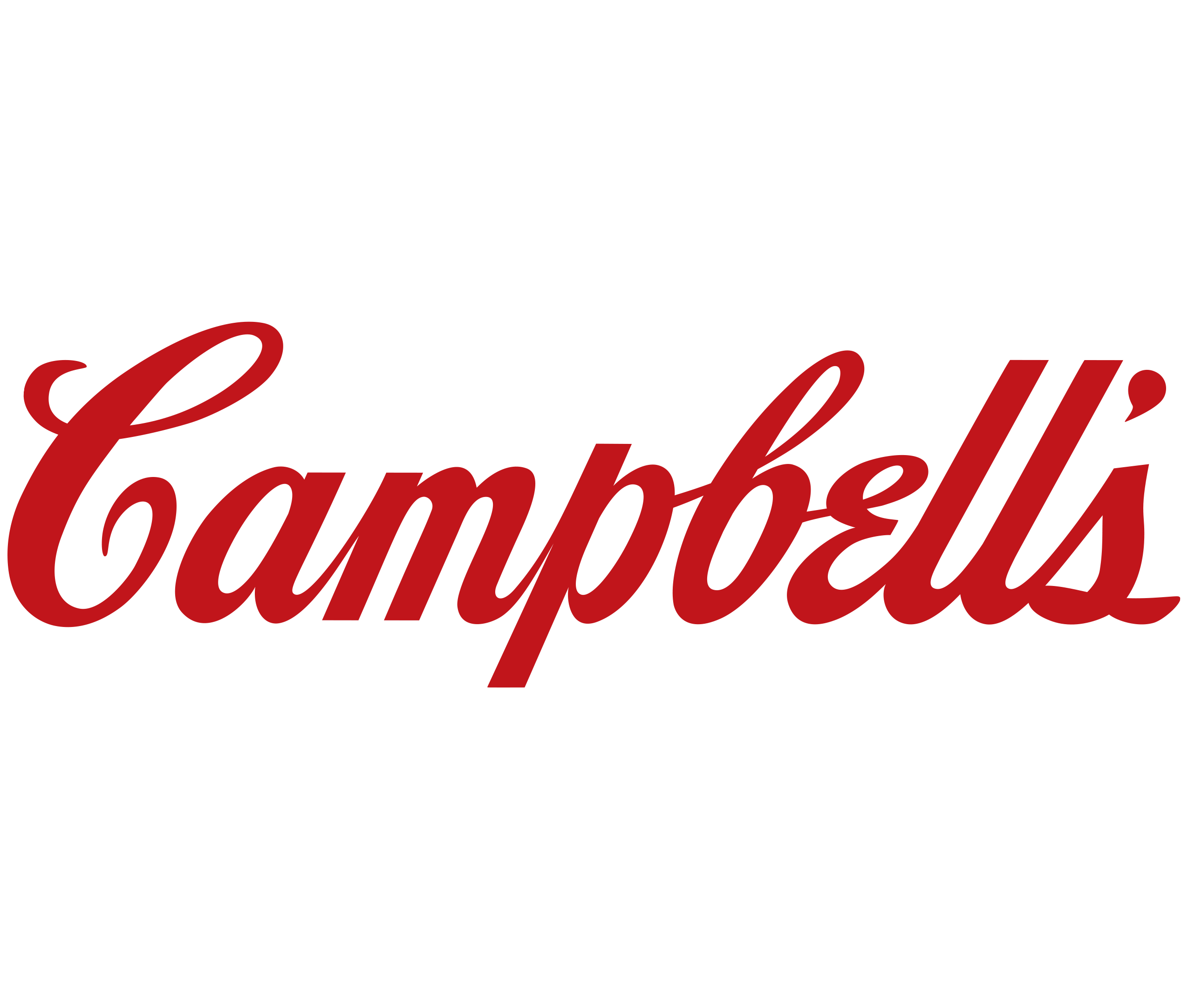 Customer Experience quote from Campbell's Soup company